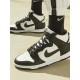 Nike Dunk Hi Retro DD1399-105